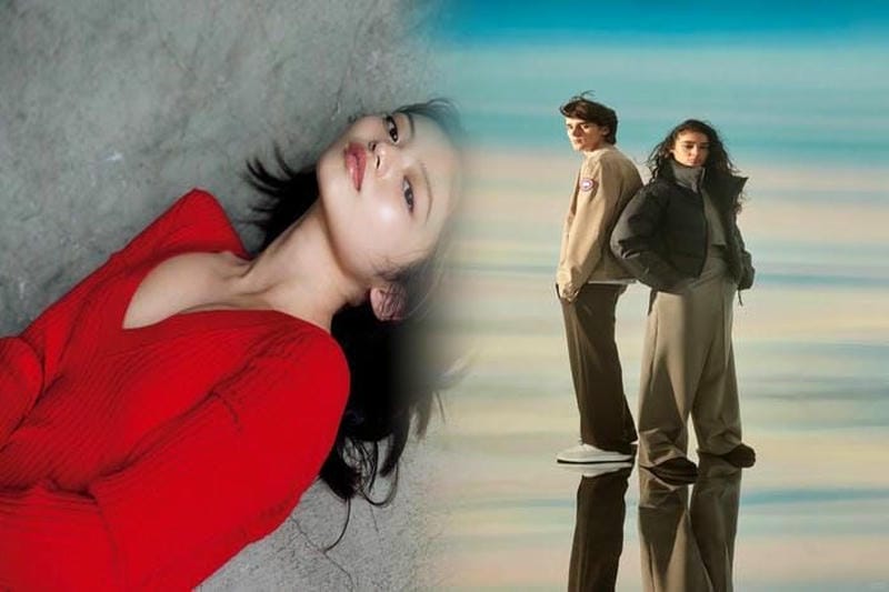 モンクレール か カナダ グース