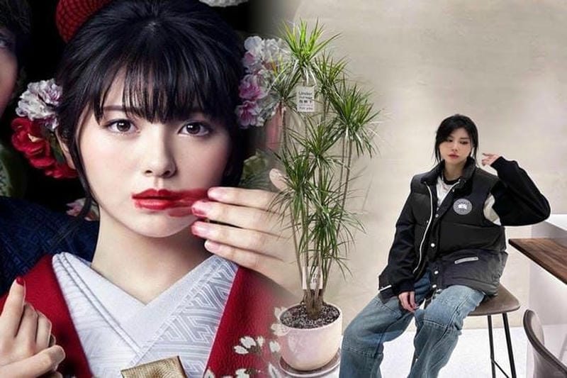 カナダ グース モンクレール ノース フェイス