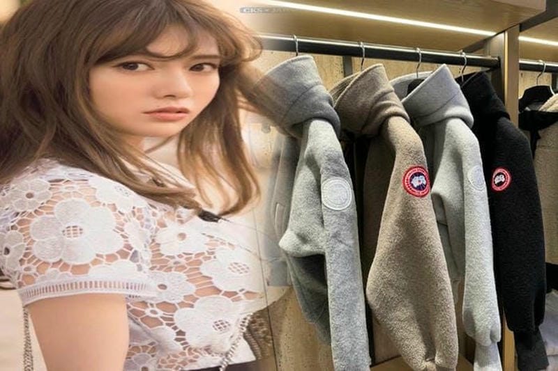 カナダ グース ノース フェイス 値段