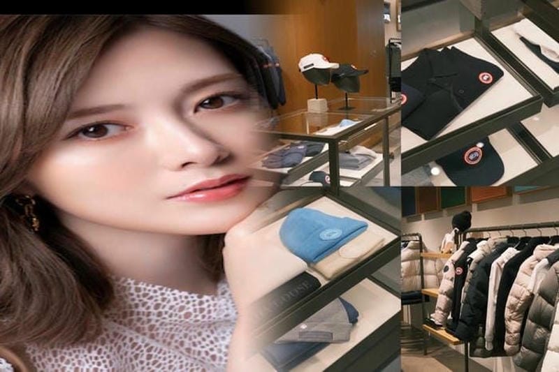 ノース フェイス カナダ グース 比較