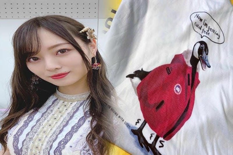 ノース フェイス カナダ グース どっち