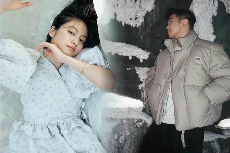 カナダ グース 羽毛