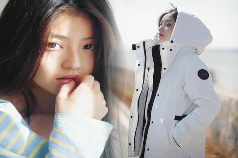 カナダ グース 盗難