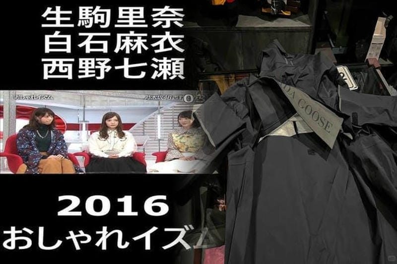 カナダ グース カビ