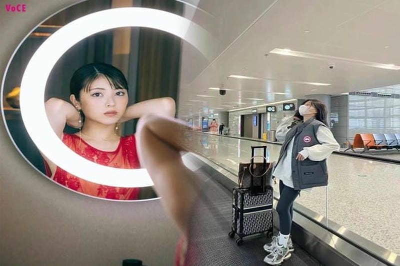 昔 の カナダ グース