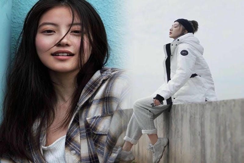 八王子 カナダ グース