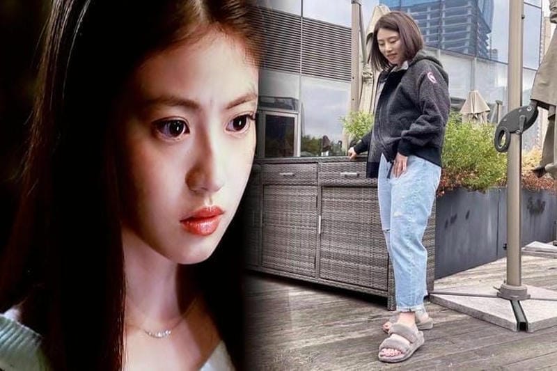 ワッペン カナダ グース