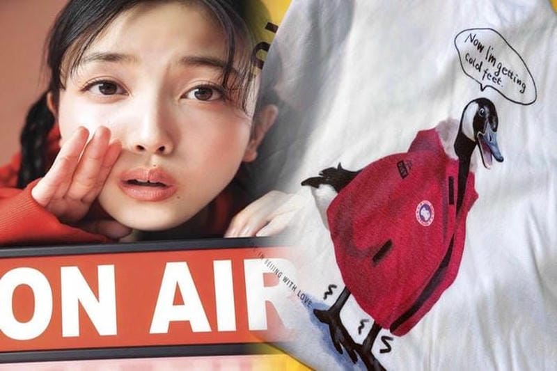 カナダ グース ペアルック