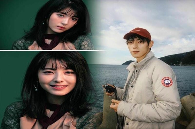 カナダ グース 楽天 偽物