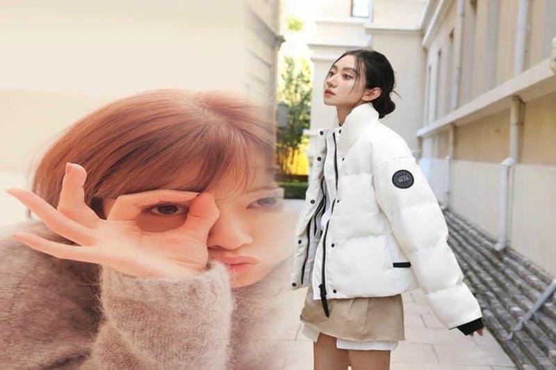 カナダ グース ベスト 種類