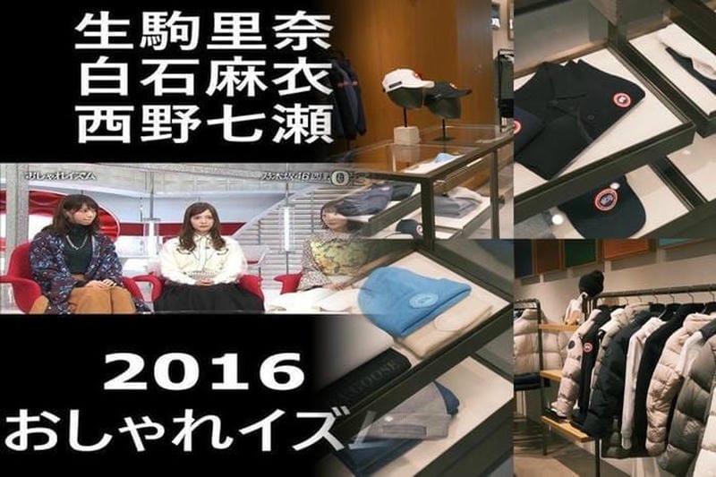 カナダグースクリーニング神奈川
