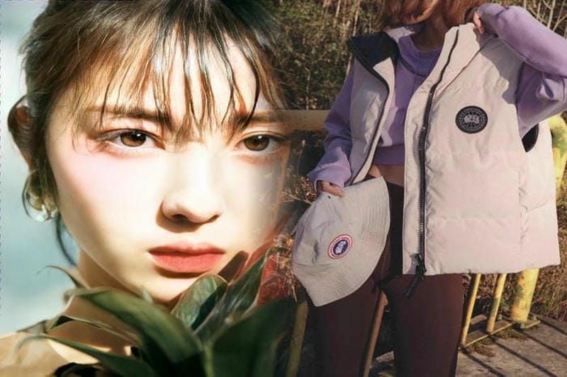 カナダ グース borden bomber