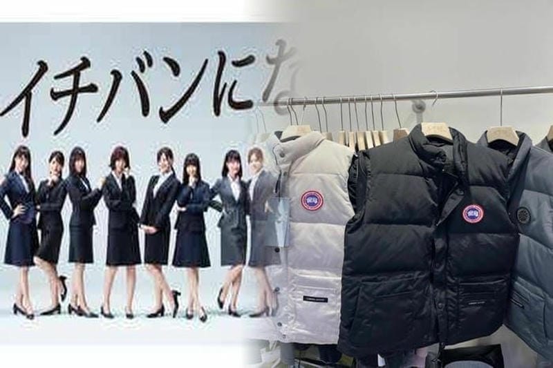 armstrong hoody カナダ グース