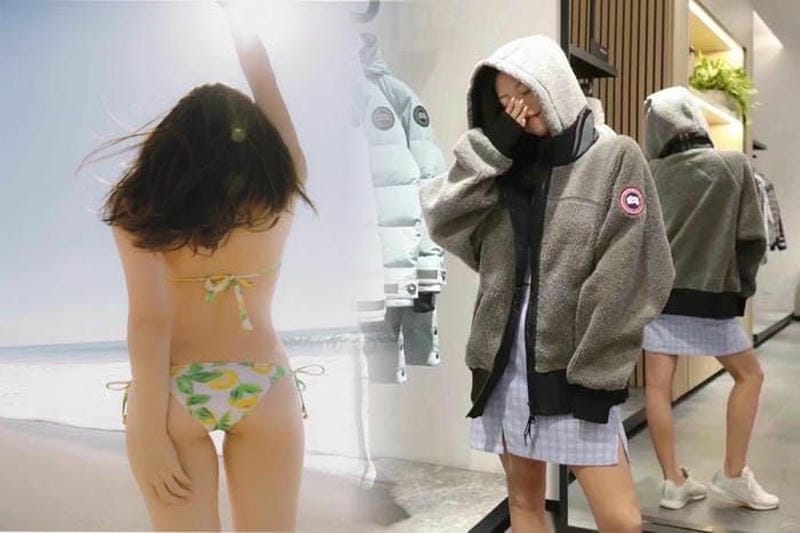 川崎 カナダ グース