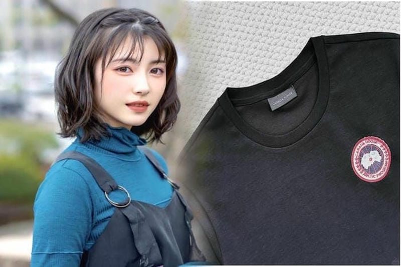 昔 の カナダ グース