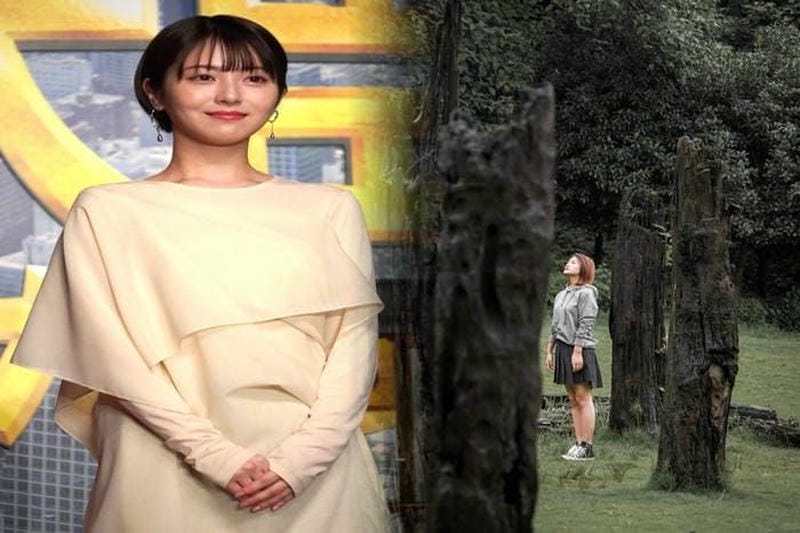 カナダ カナダ グース