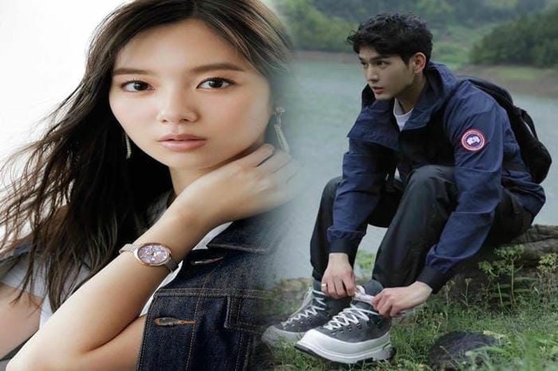 カナダ グース の 偽物