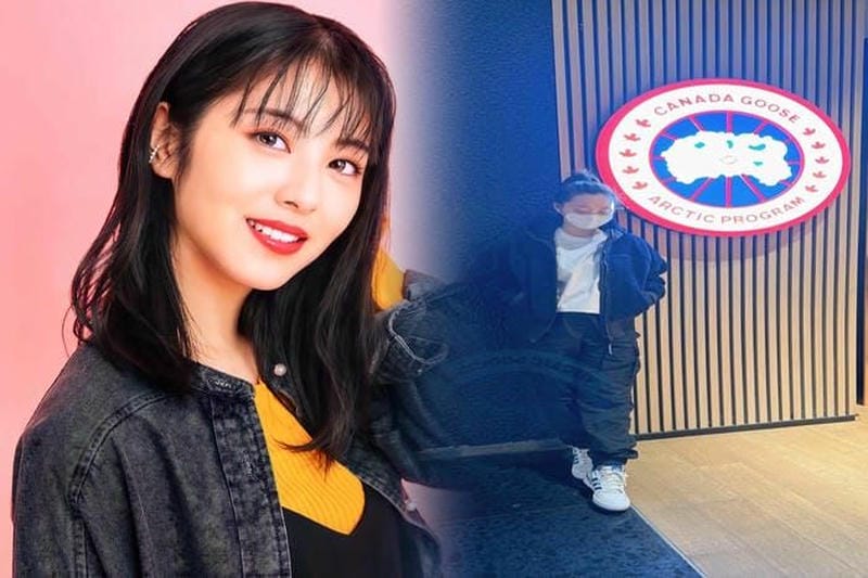 カナダ グース 洗濯 自宅