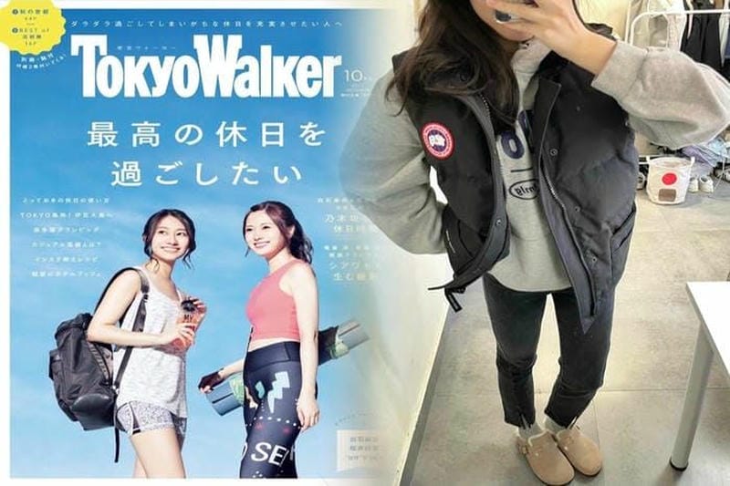 白化しないカナダグースのモデルはあるのか？徹底調査