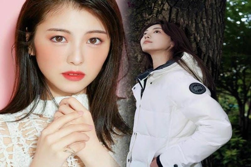 カナダ グース ユナイテッド アローズ 別注