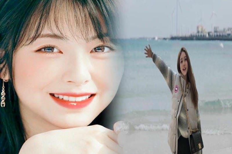 armstrong hoody カナダ グース