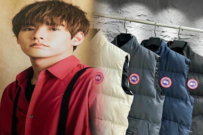 ノース フェイス アン ターク ティカ カナダ グース