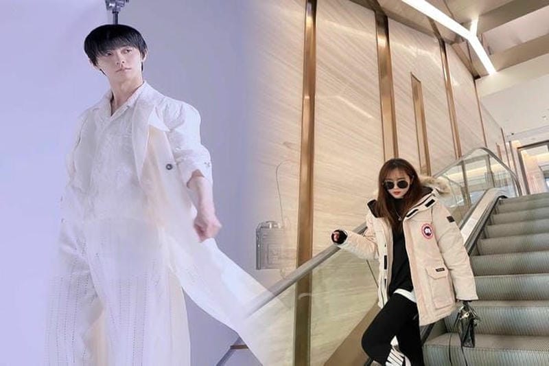 カナダ グース 北極