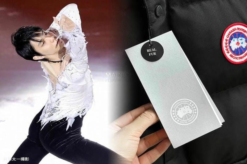 カナダ グース ペア