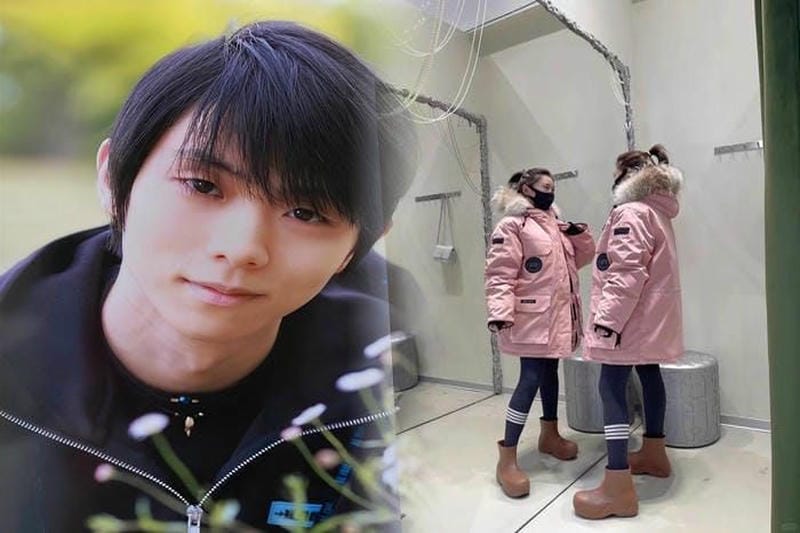 八王子 カナダ グース