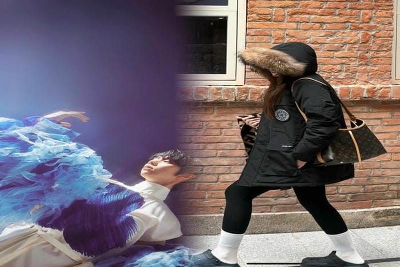 カナダ カナダ グース