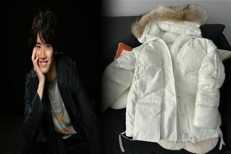 ピレネックス カナダ グース 比較