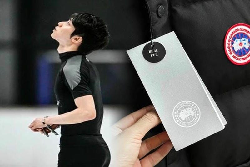 カナダ グース amazon 偽物