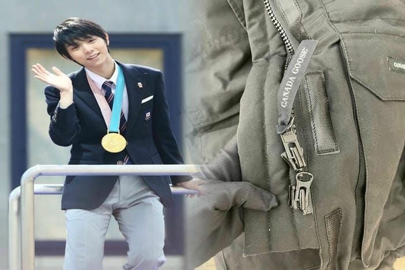 メイトランドカナダグース