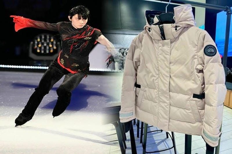 2580laカナダグース