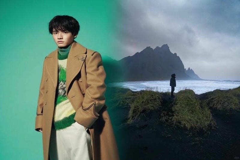 ノース フェイス カナダ グース ボア