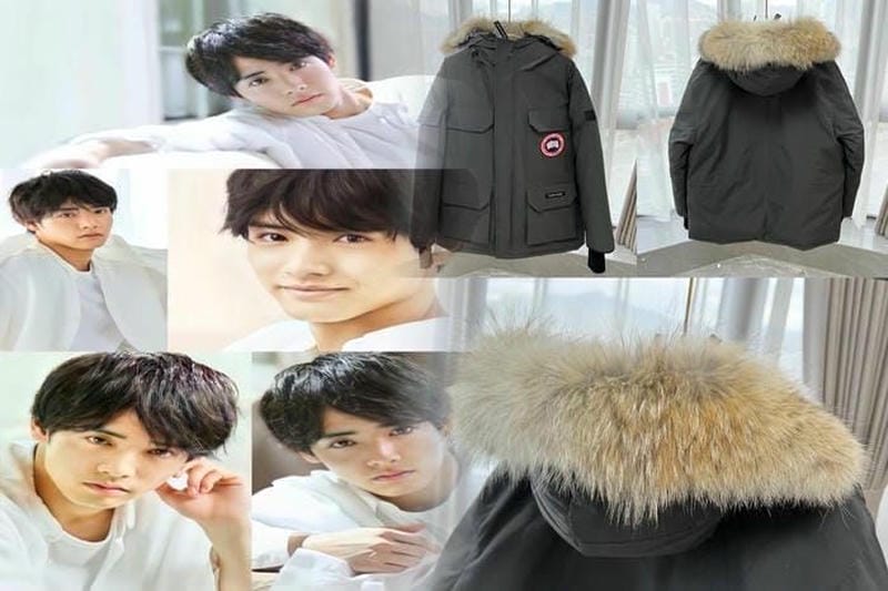 ノース フェイス カナダ グース どっち