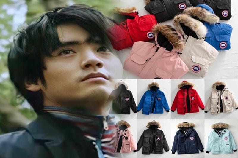 川崎 カナダ グース