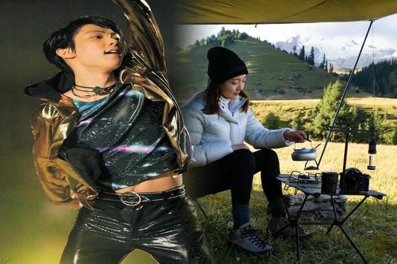 昔 の カナダ グース