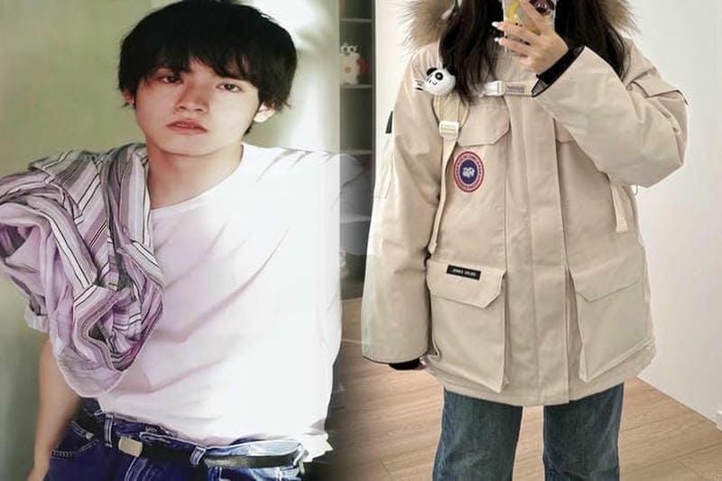 ピレネックス カナダ グース 比較