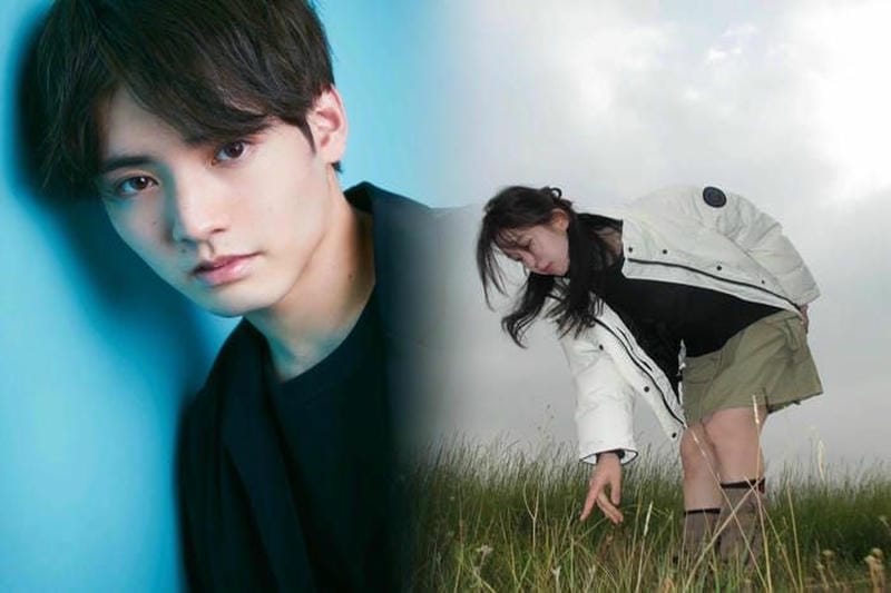 armstrong hoody カナダ グース