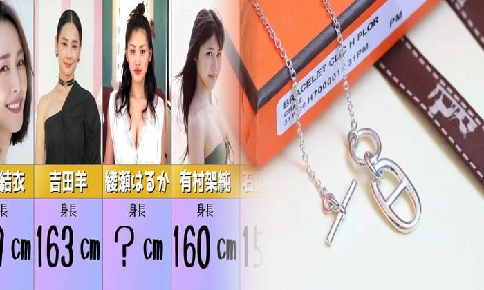 エルメス アクセサリー 水牛