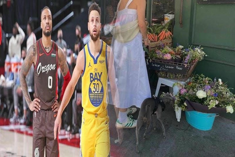 サッカー アディダス トレーニング シューズ