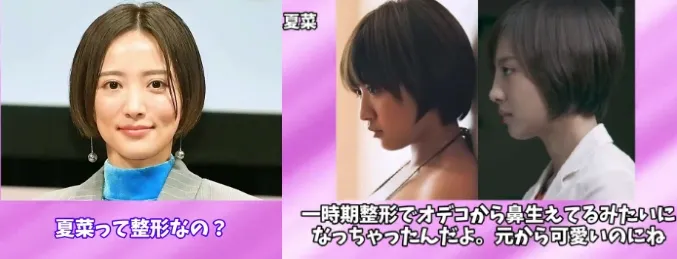 夏菜