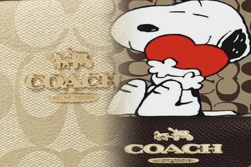 コーチ チャーリー ブリーフ