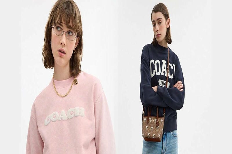 coach ディズニー 2022