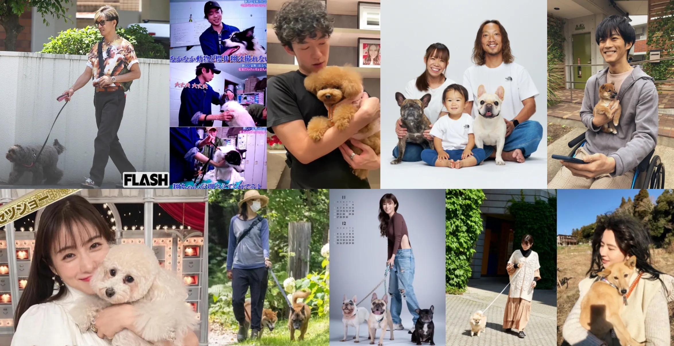 6. 芸能人とペットのリード事情｜10名以上の愛犬家まとめ (2).webp