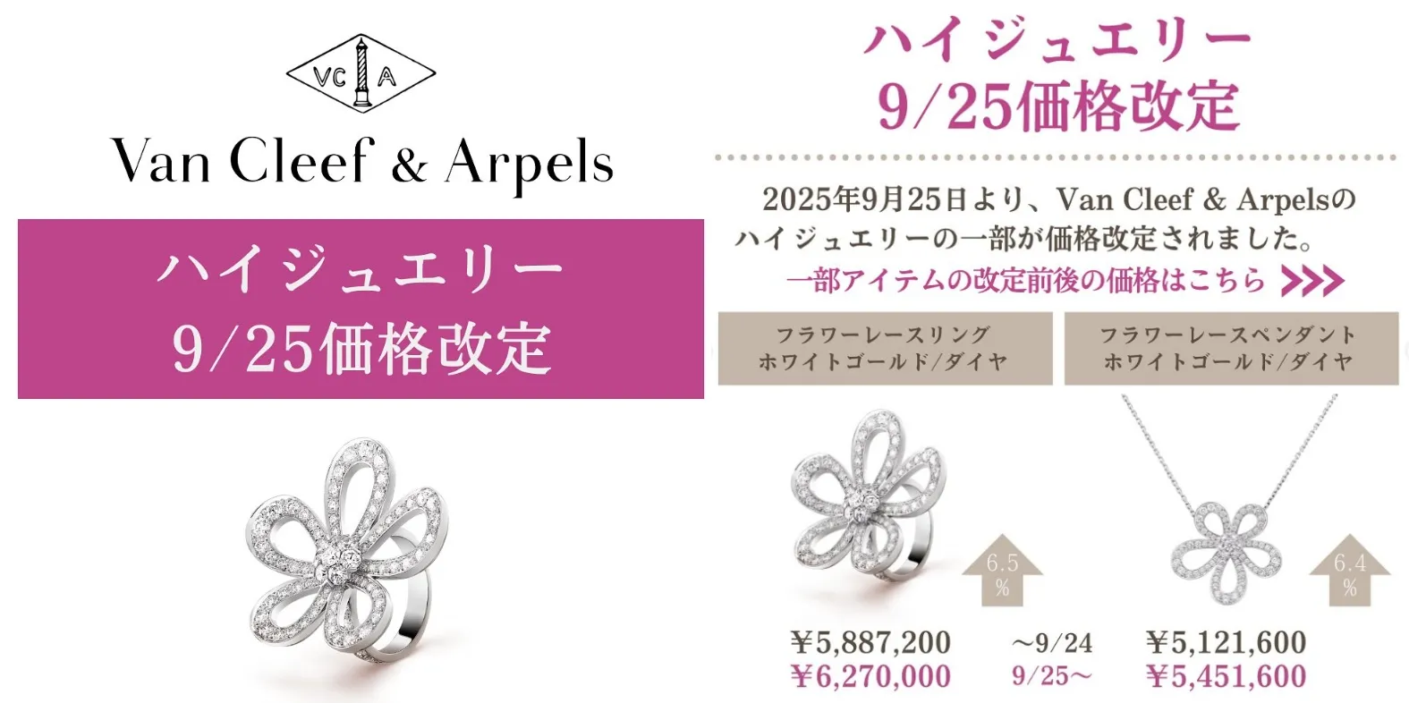 2. 値上げ対象アイテムと改定率.webp