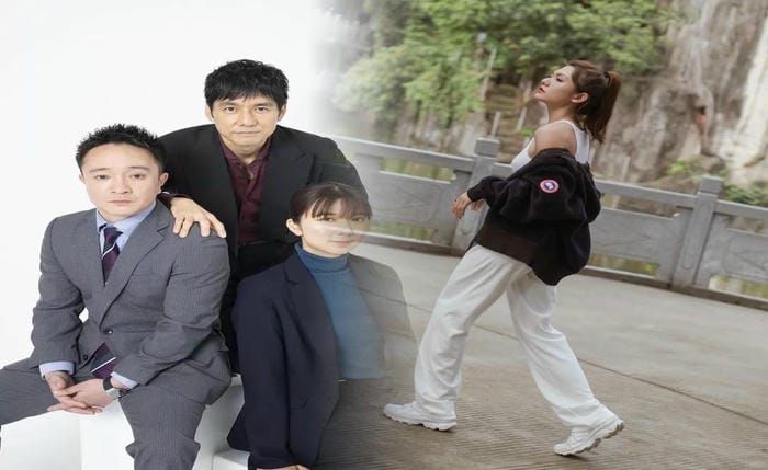 八王子 カナダ グース