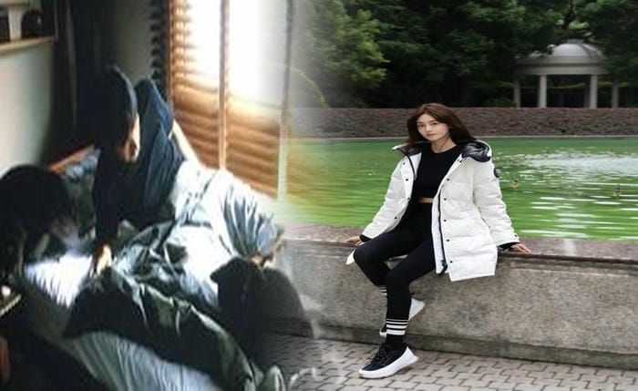 カナダ グース ユニクロ