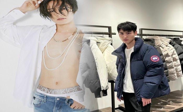 ノース フェイス カナダ グース ボア